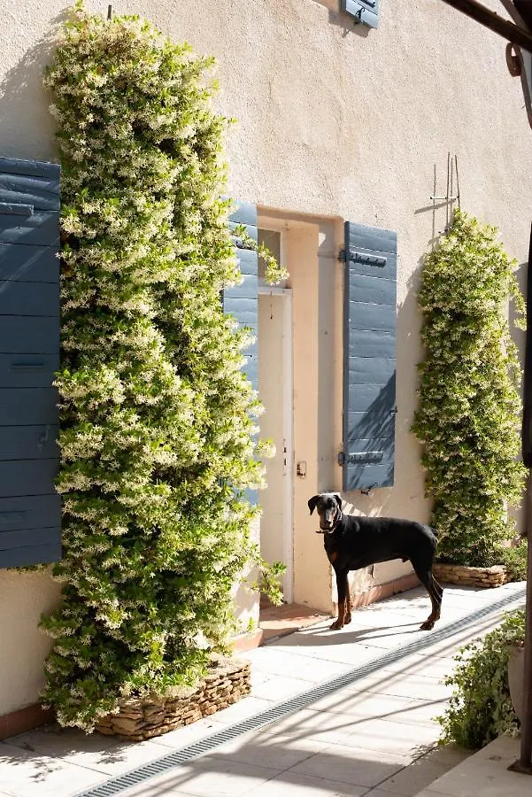 Hotel Societe Hoteliere De Montmirail Gigondas